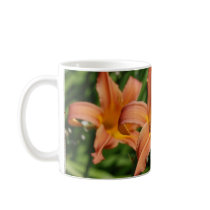 Daylilly Flowers mugs