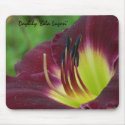 Daylily 'Bela Lugosi' mousepads