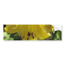 Daylily Bumper Sticker