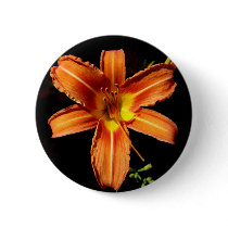 DayLily buttons