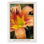 Daylily Greeting Card