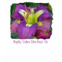 Daylily 'Cobra Skin Neck Tie' t-shirts by Fairyscape Daylily 'Cobra Skin Neck Tie' t-shirts