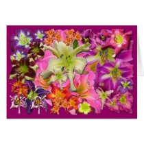 Daylily Collage cards by Fairyscape Daylily Collage cards