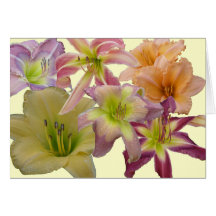 Daylily Collage Card