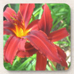 Daylily Cork Coasters cork coasters
