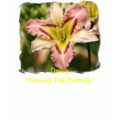 Daylily 'Heavenly Pink B... Tee Shirts by Fairyscape