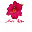 Daylily ' Medici Palace' t-shirts by Fairyscape Daylily ' Medici Palace' t-shirts