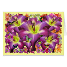 Daylily 'Michael Bennett Felicitacion