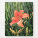 Daylily Mousepad by SherryHolderHunt Daylily Mousepad