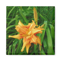 daylily: orange -Magnet by minx267 daylily: orange -Magnet