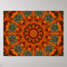 Daylily Orange Mandala Print