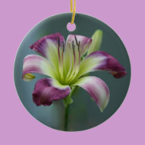 Daylily Ornament ornaments