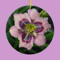 Daylily Ornament ornaments