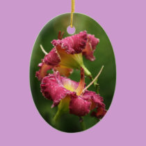 Daylily Ornament ornaments