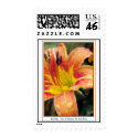 Daylily postage by creativeworks Daylily postage