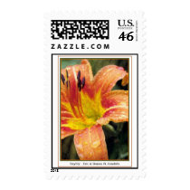 Daylily postage