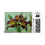 Daylily Postage Stamp