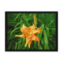 Daylily postcards by minx267 Daylily postcards