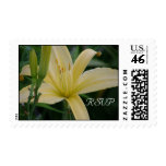 Daylily RSVP Postage