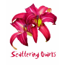 Daylily "Scattering Quarks" t-shirts by Fairyscape Daylily "Scattering Quarks" t-shirts