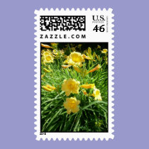 Daylily Splendour stamps
