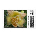 Daylily Stamp