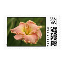 Daylily Stamps
