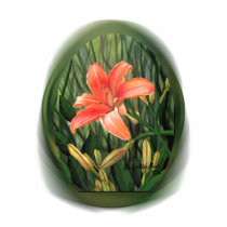 Daylily t-shirt by SherryHolderHunt Daylily t-shirt