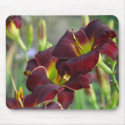 Daylily 'Vintage Bordeaux' mousepads by littlewingdesign Daylily 'Vintage Bordeaux' mousepads