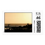 Days End Surfing Stamp
