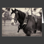Days Gone By - Clydesdale Horse Greeting Cards