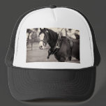 Days Gone By - Clydesdale Horse Hats