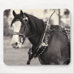 Days Gone By - Clydesdale Horse Mousepad