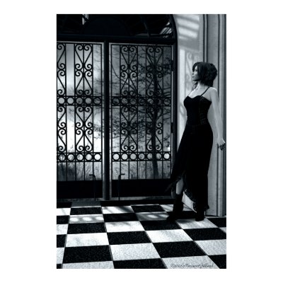 Days Of Noir Art Poster by mariannegilliand