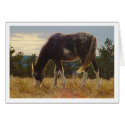 DaysEnd cards