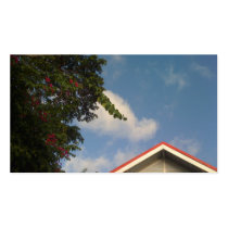 Daytime profile cards by bixxman Daytime profile cards