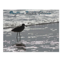 Daytona Beach Postcard