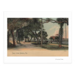 Daytona, Florida - View of Beach Street Post Card