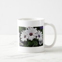 Dazzle Daisy mugs