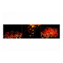 Dazzle Love Hearts Montage 1 posters