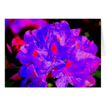 Dazzling color floral card