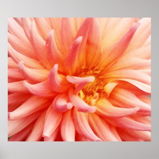 Dazzling Dahlia Flower Print