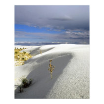 Dazzling Dunes posters by gust_front Dazzling Dunes posters