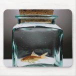 Dazzling Goldfish in jar Mousepad