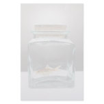Dazzling Goldfish in jar Custom Stationery