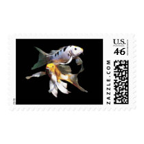 Dazzling Koi Pair postage by Mindspins Dazzling Koi Pair postage