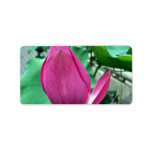 Dazzling Pink Lotus Flower Labels