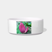 Dazzling Pink Lotus Flower Pet Water Bowls