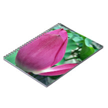 Dazzling Pink Lotus Flower Spiral Note Books
