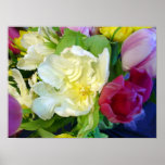 Dazzling Tulips Print or Poster